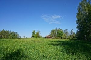 old-authentic-manor-for-sale-farm-in-utena-region